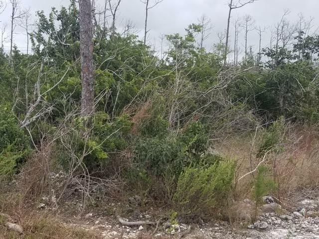  WINDSOR BAY SUB,Other Grand Bahama/Freeport
