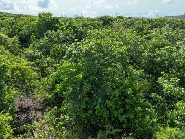  DARNOTTS POND ELEUTHERA,Palmetto Point
