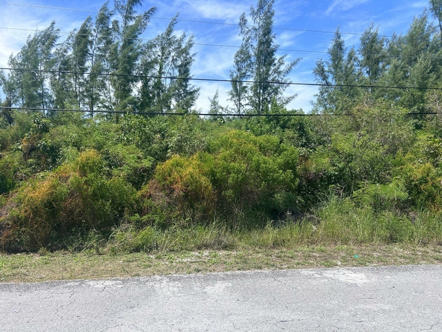  1/2 ACRE MULTI FAMILY LOT,Marshall Road