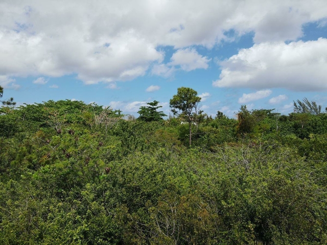  LOT 2, SAN SALVADOR,Columbus Landings
