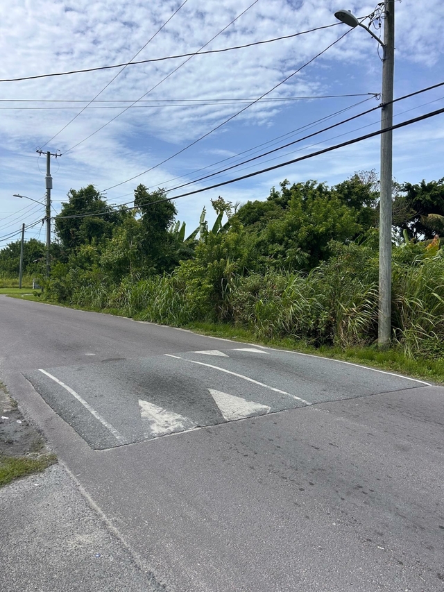  PALM BEACH DRIVE,Carmichael Road