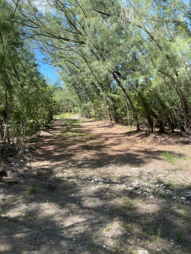 77L DRIGGS HILL,Other Andros