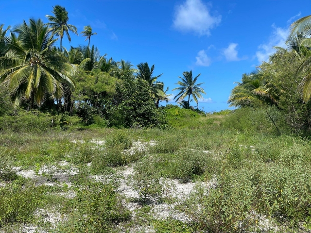 77F DRIGGS HILL,Other Andros