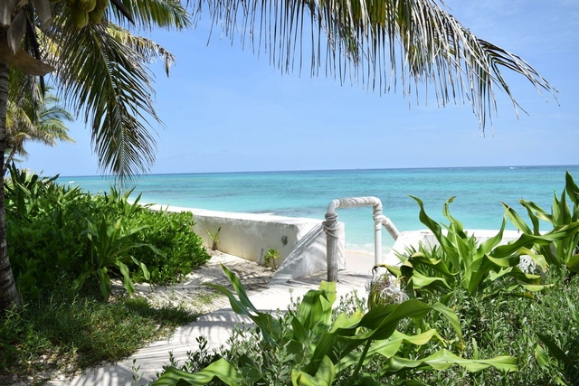  PALMS OF LOVE BEACH,Love Beach