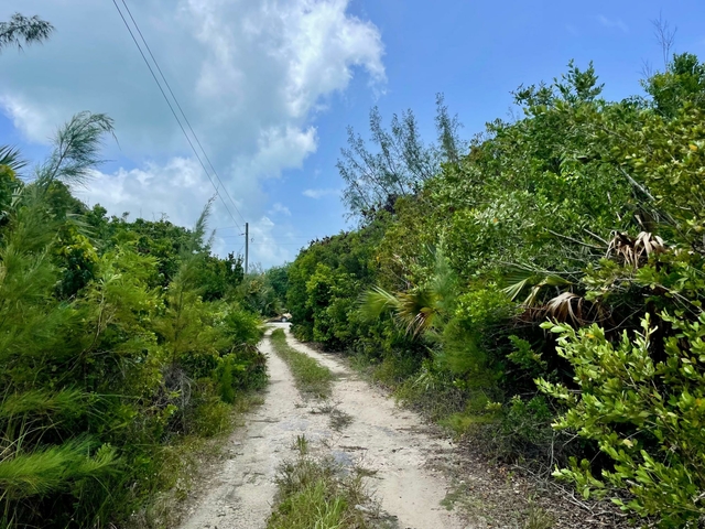  WHALE POINT ESTATES,Whale Point