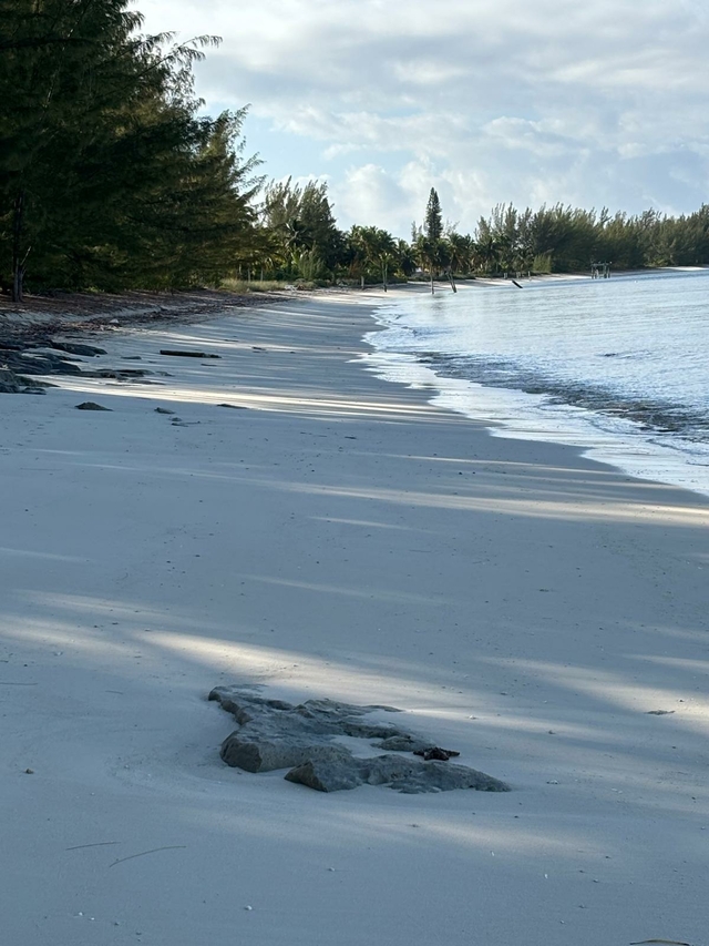  5 ACRES IN SANDY POINT, A,Sandy Point