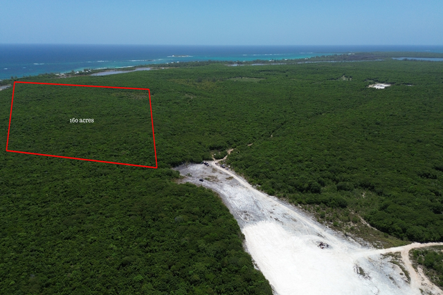  160 ACRES BURNS POND,Palmetto Point