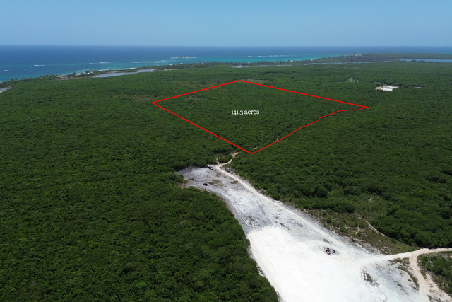  141.3 ACRES BURNS POND,Palmetto Point