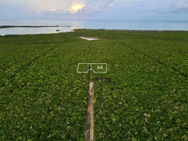  TARPUM BAY LOT# 32, ELEUT,Tarpum Bay