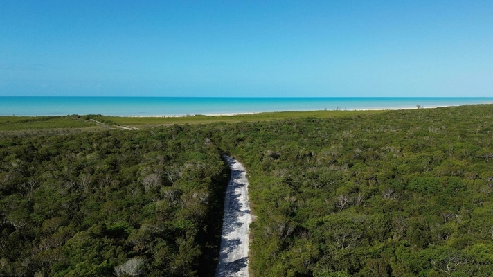  BAHAMA SOUND,Bahama Sound