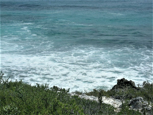  OCEAN FRONT ACREAGE,Pettys