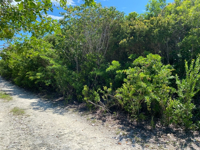  ELEUTHERA ISLAND SHORES,Gregory Town