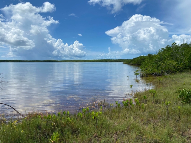  NORTH PALMETTO POINT, ELE,Palmetto Point