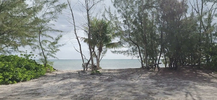  MANGROVE CAY,Mangrove Cay