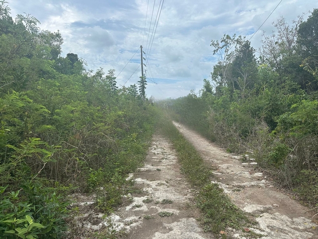  1 BULLARD'S TARPUM BAY,Tarpum Bay