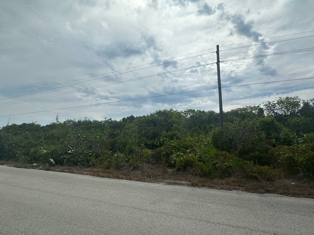  1 LIL BLUFF SAVANNAH SOUN,Savannah Sound