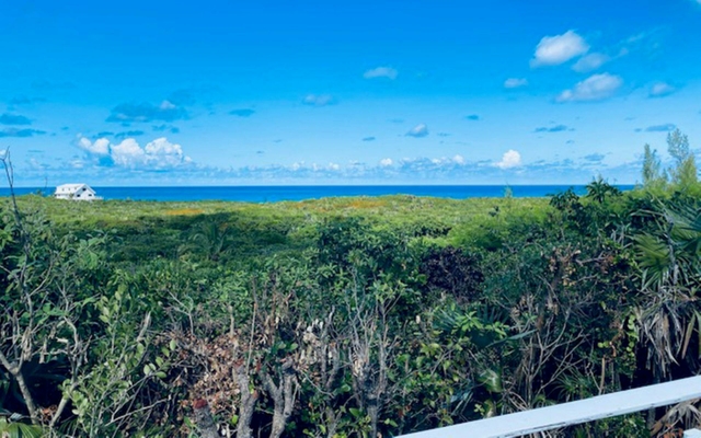  147C, YELLOWBIRD COTTAGE,Guana Cay