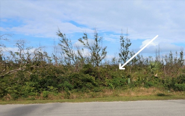  LOT 18 BLACKWOOD,Coopers Town