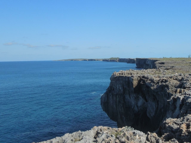  WHALE POINT,Whale Point