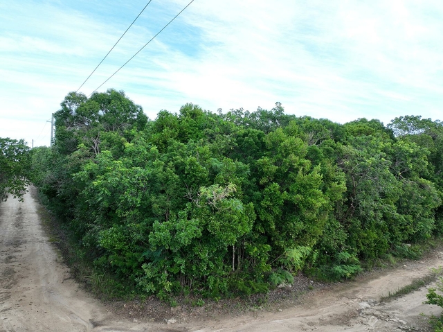  PARCEL A, WINDING BAY,Tarpum Bay