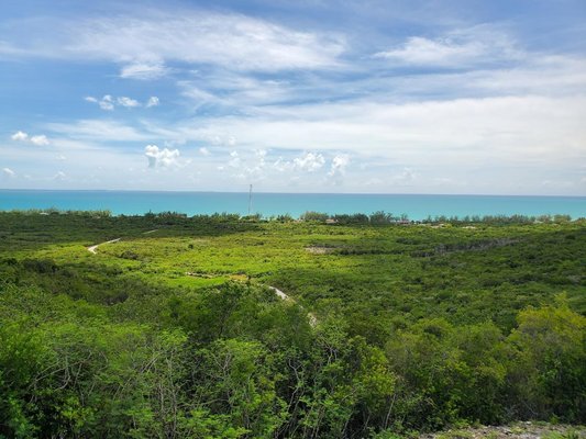 Mixed Use Vacant Lot