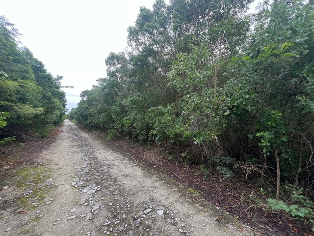  DOLPHIN ROAD,Bahama Sound