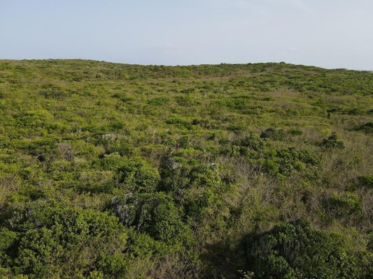  MATOADY ROAD,Doctor's Creek