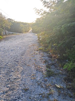  9720 DOGBERRY ROAD,Bahama Sound