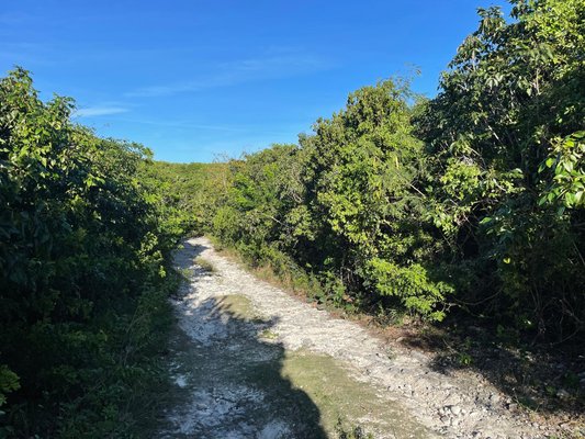  ELEUTHERA ISLAND SHORES,Gregory Town