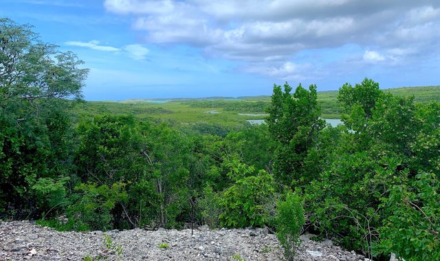  SEYMOUR'S HILLTOP SEAVIEW,Seymour's