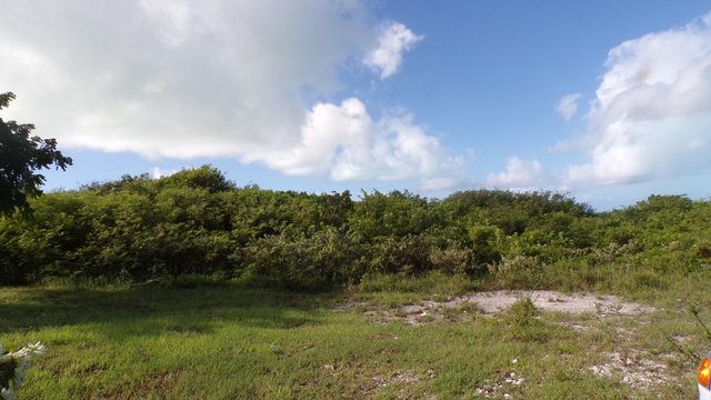  3.49 ACRES BUCKLEY'S,Buckleys