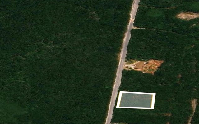  HILLTOP LOT, HAMILTON'S,Hamilton's