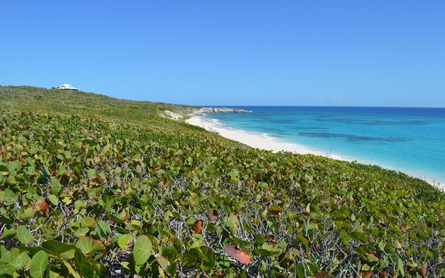  LOT 4B1, STANIEL CAY RDG,Exuma Cays