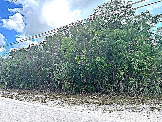  2 ACRE PARCEL,Miley