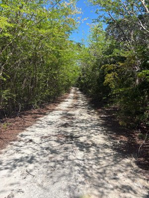  BAHAMA ISLAND BEACH,Little Exuma