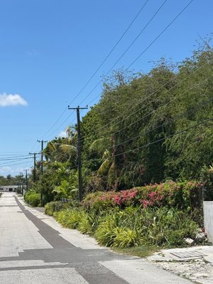  STAPLEDON GARDENS,Stapledon Gardens