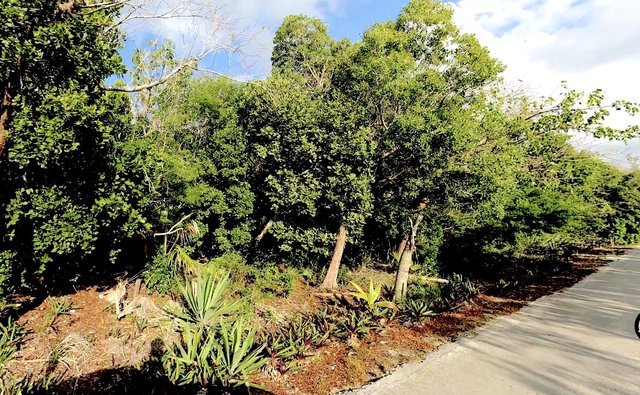  LOT R 27 PALMETTO SHORES,Palmetto Point
