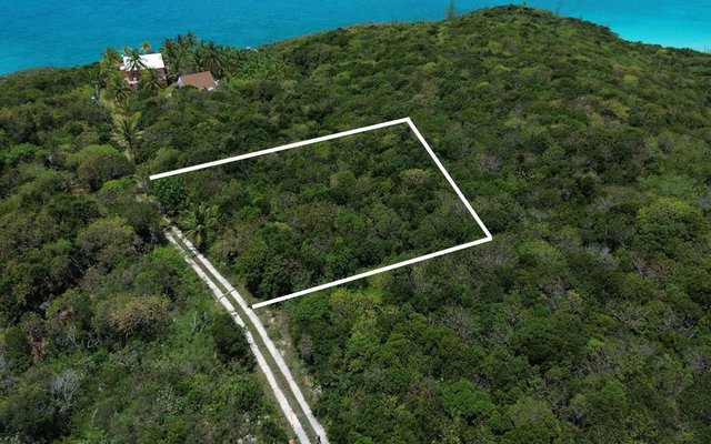  GREGORY TOWN ACRE LOT,Gregory Town