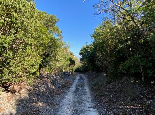  S.C. BOOTLE HIGHWAY,ABACO,Treasure Cay