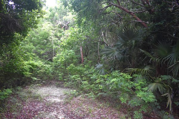  ELEUTHERA ISLAND SHORES,Gregory Town