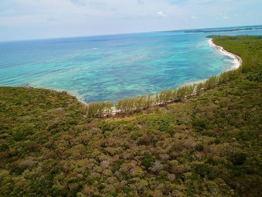  TARPUM BAY,Tarpum Bay