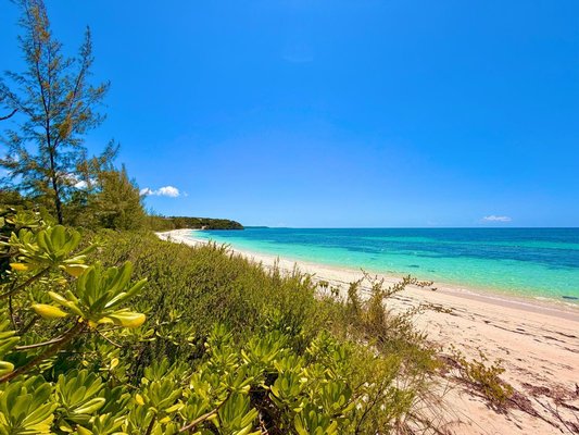  FLAMINGO BAY BEACHFRONT,Other Cat Island