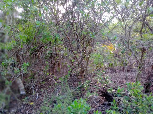  CALABASH BAY,Fresh Creek