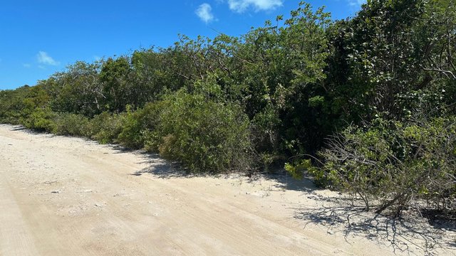 803 BAHAMA ISLAND BEACH 3,Little Exuma