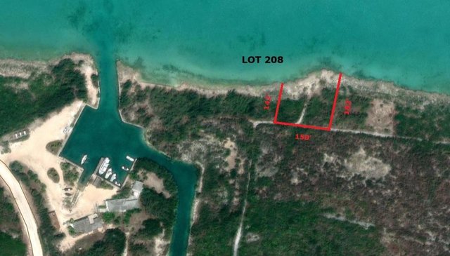 Lot 208