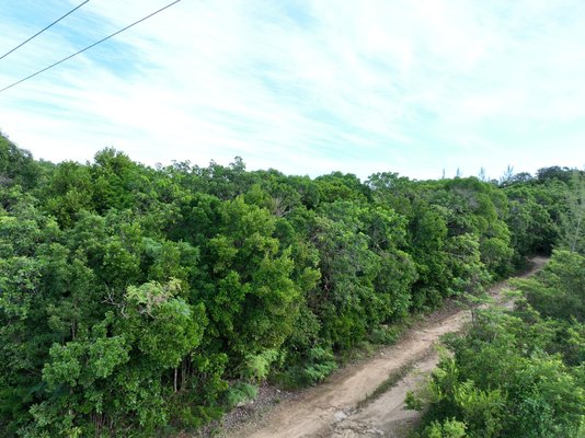  TARPUM BAY VACANT LOT,Tarpum Bay
