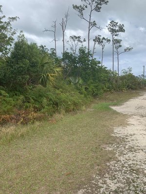 block 49 LOT 22 MALLARD ST,Yeomanwood Subdivision